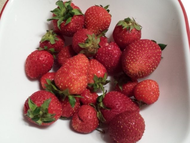 018strawberries